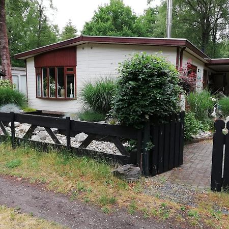 Sfeervol, Ruim En Luxe Chalet In Bosrijke Omgeving Villa Diessen ภายนอก รูปภาพ