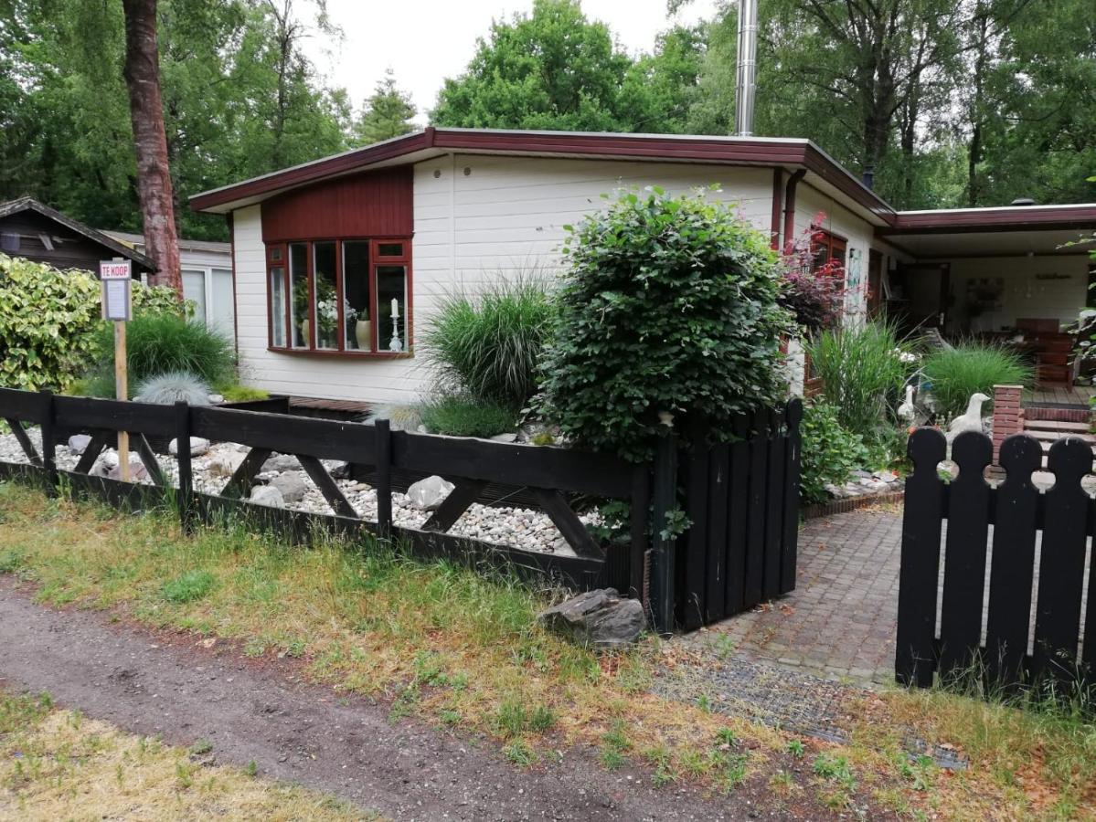 Sfeervol, Ruim En Luxe Chalet In Bosrijke Omgeving Villa Diessen ภายนอก รูปภาพ